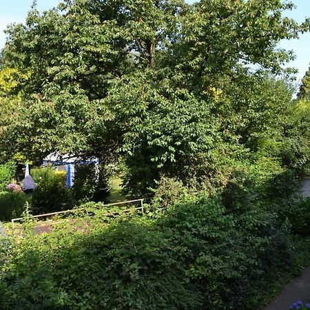4 Sterne Ferienwohnungen Lavendel Brueggen Bruggen  Eksteriør billede